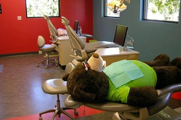 Picture of teddy with dental equipment