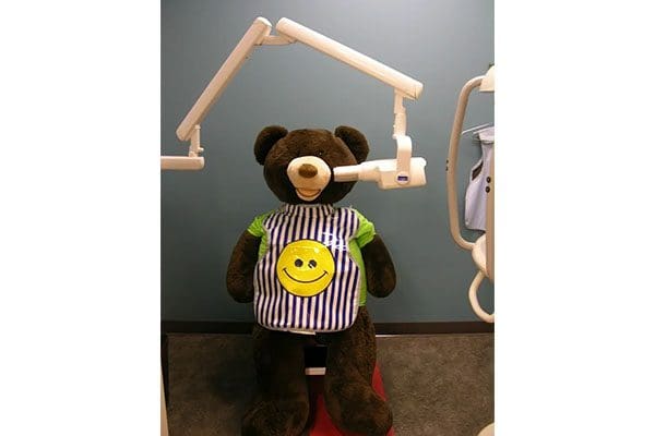 Picture of teddy with dental equipment
